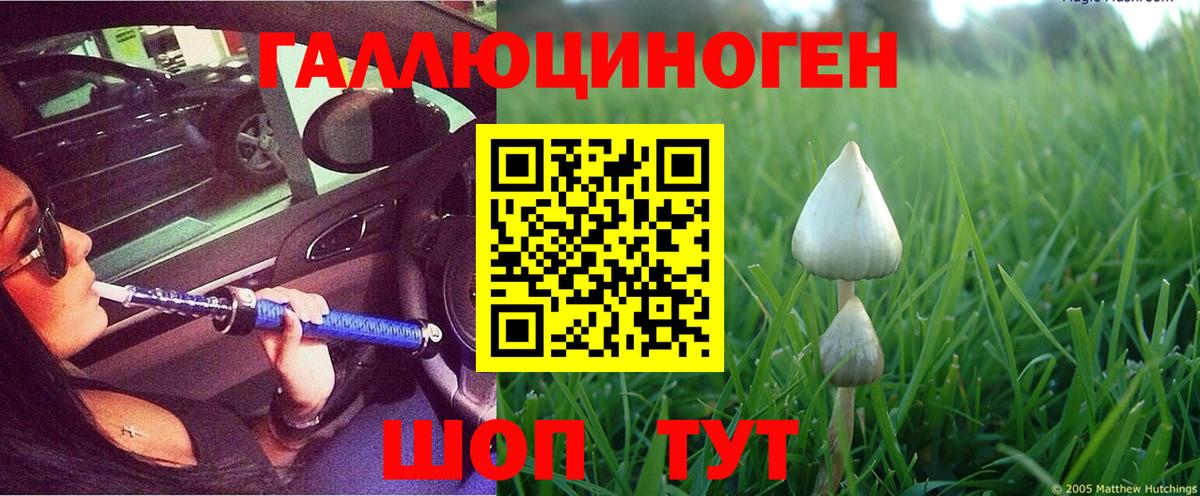 Галлюциногенные грибы Psilocybe Альметьевск