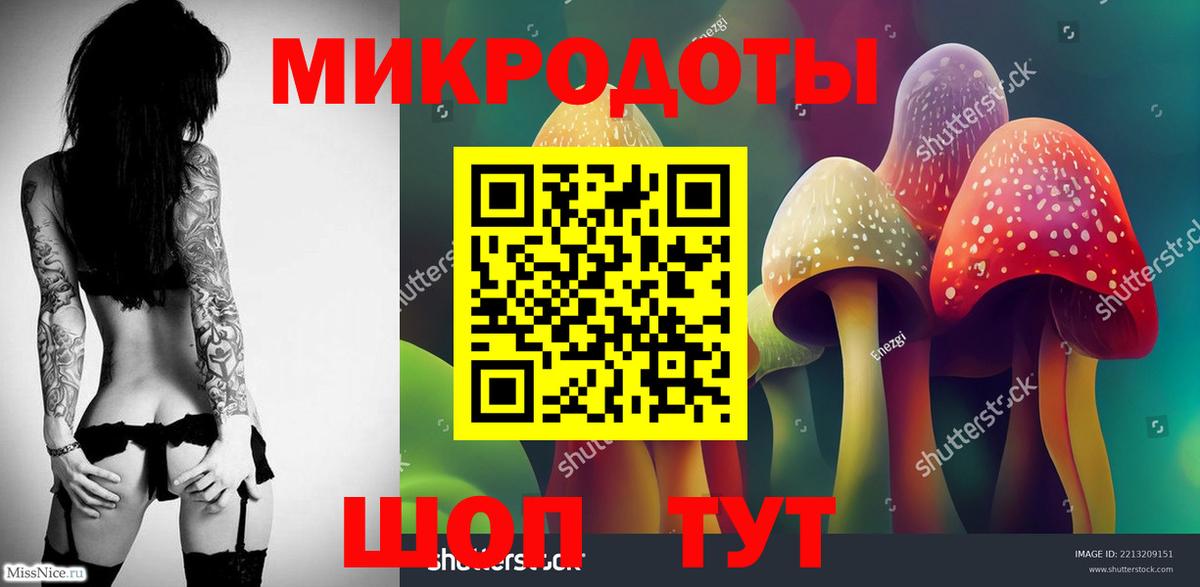 Альметьевск  где продают наркотики  Вход с VPN  Псилоцибиновые грибы Psilocybine cubensis 
